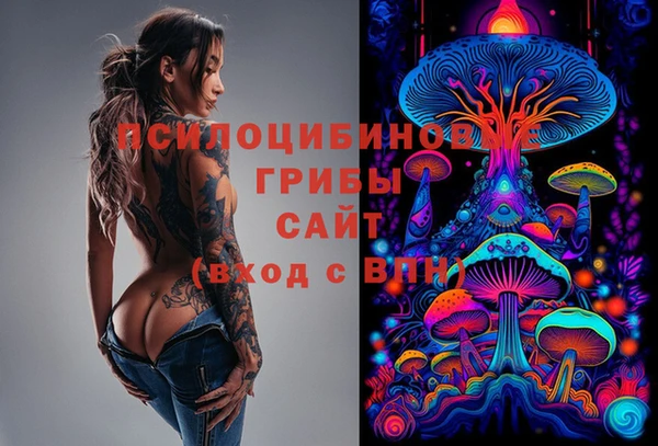 спайс Покачи
