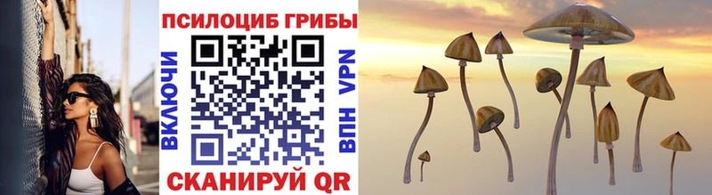 Псилоцибиновые грибы Magic Shrooms  hydra зеркало  Арсеньев 